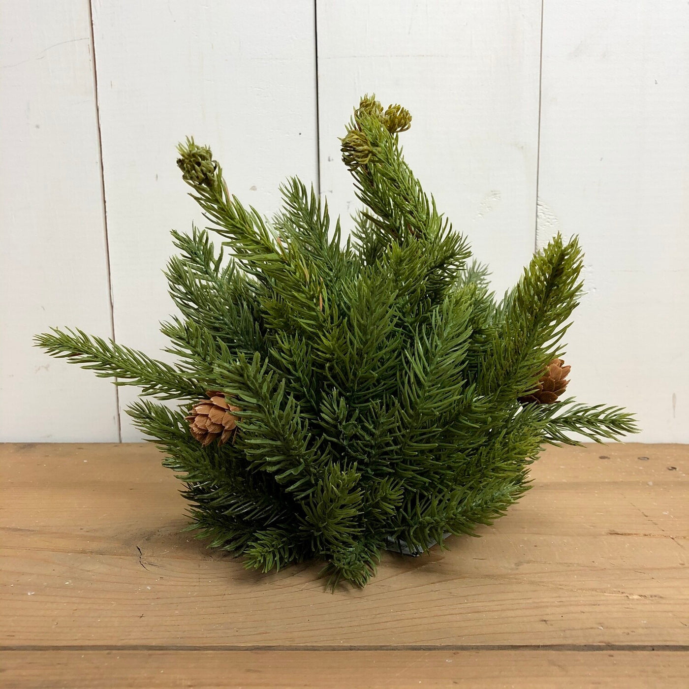 Spruce with Pine Cones Half Orb