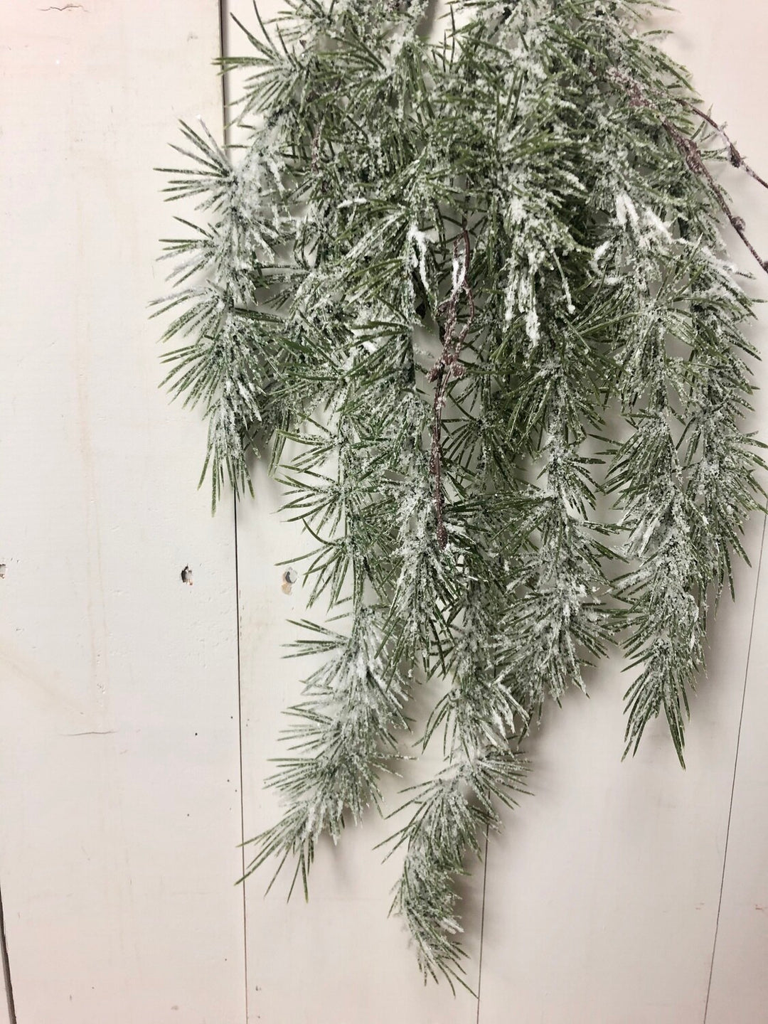 Weeping Pine Snow Spray