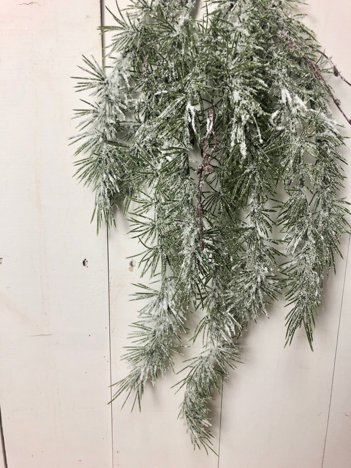 Weeping Pine Snow Spray