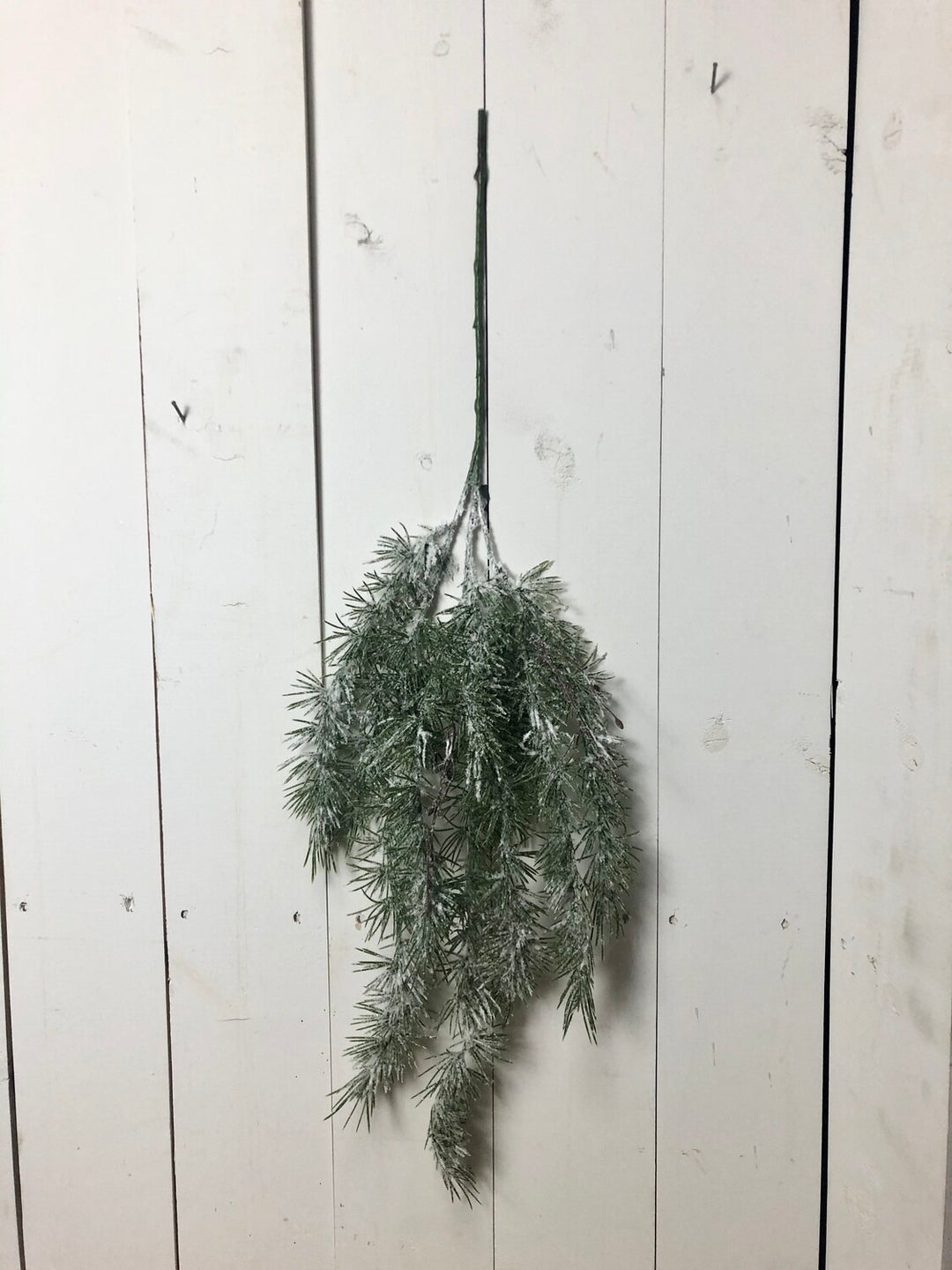 Weeping Pine Snow Spray