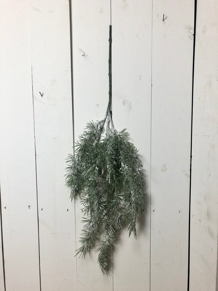 Weeping Pine Snow Spray
