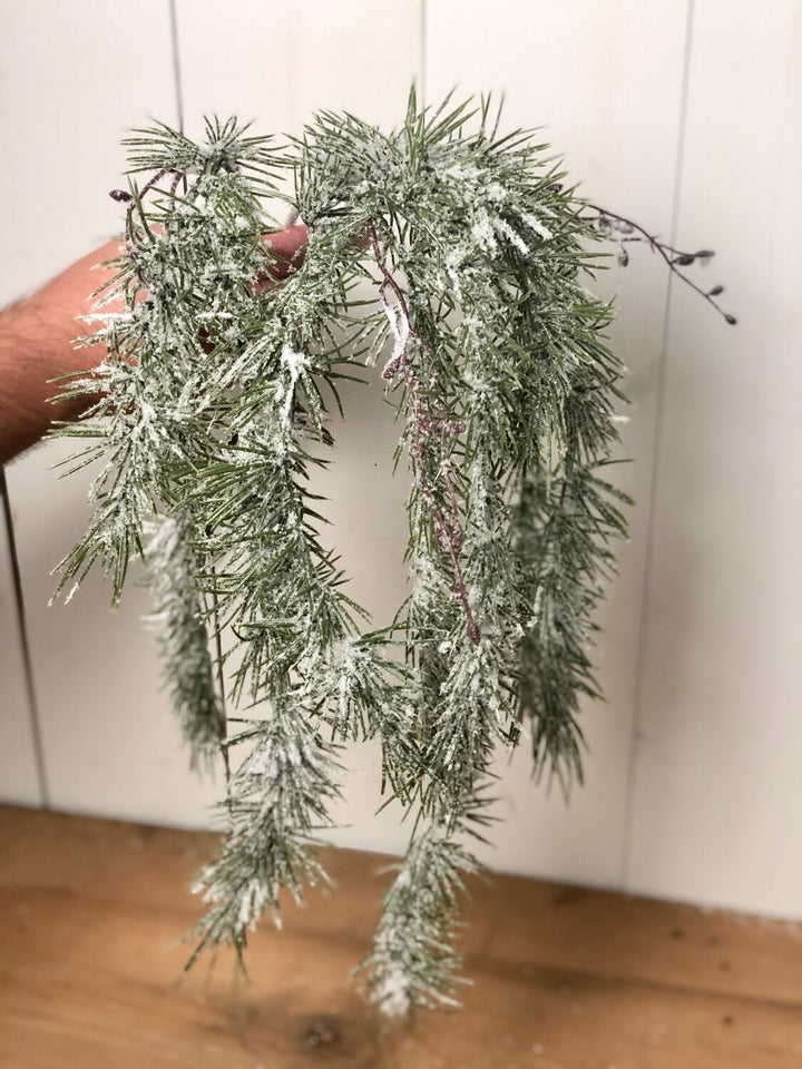 Weeping Pine Snow Spray
