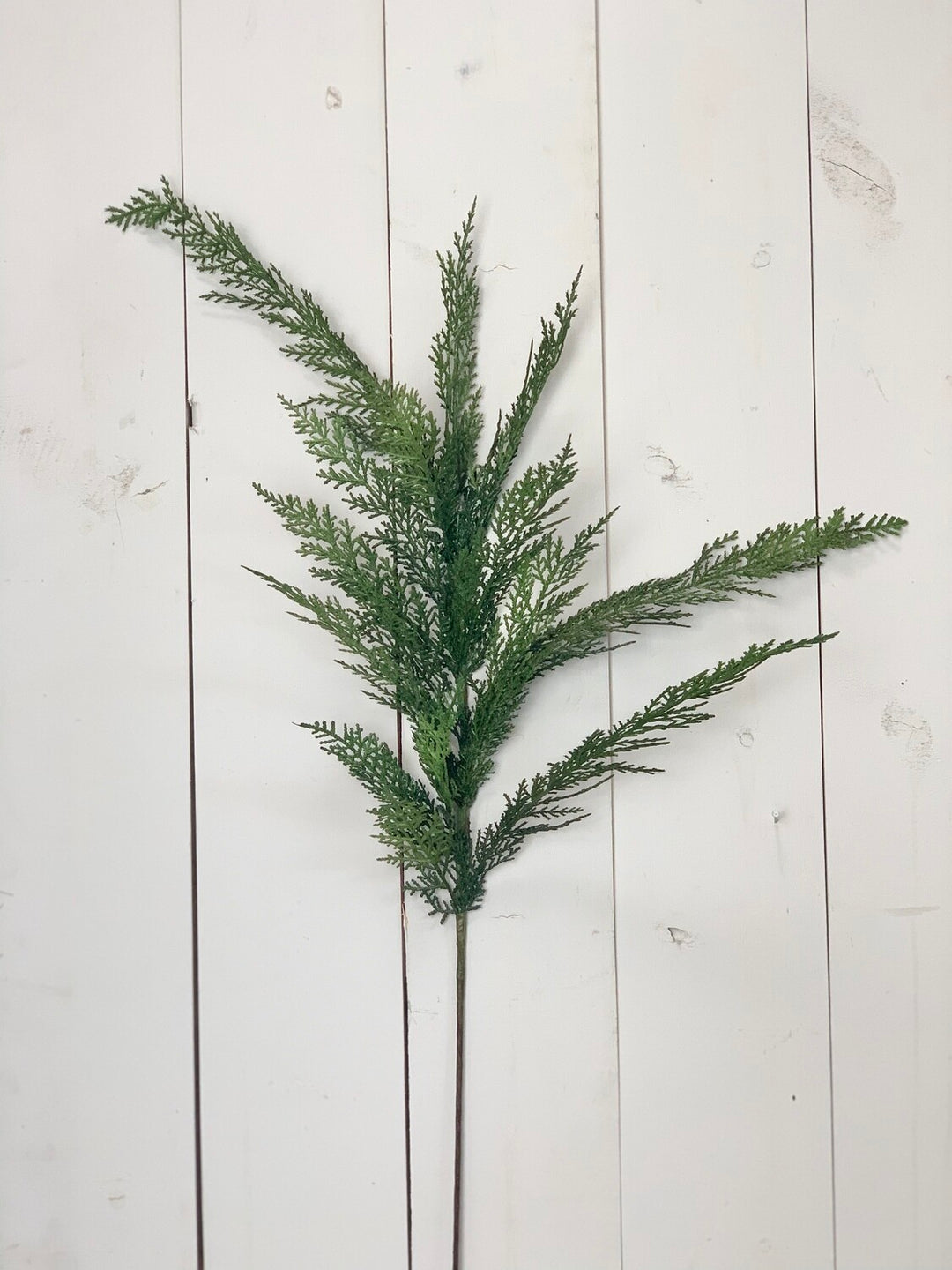 Large Cypress Spray