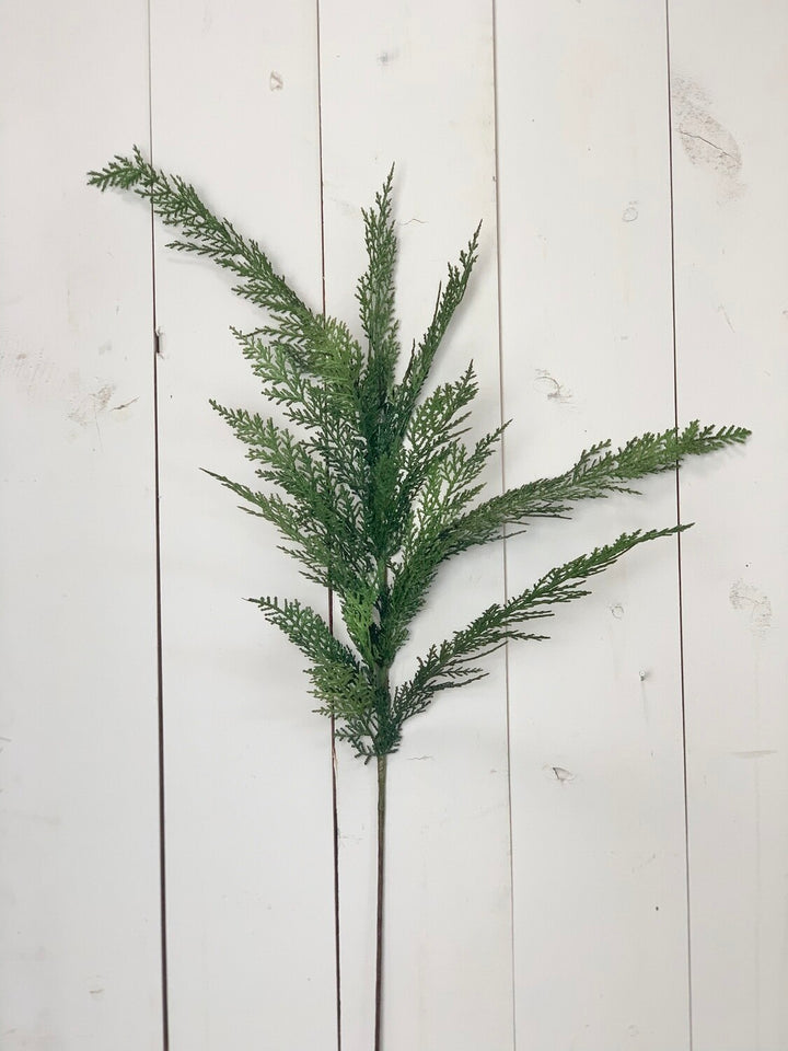 Large Cypress Spray