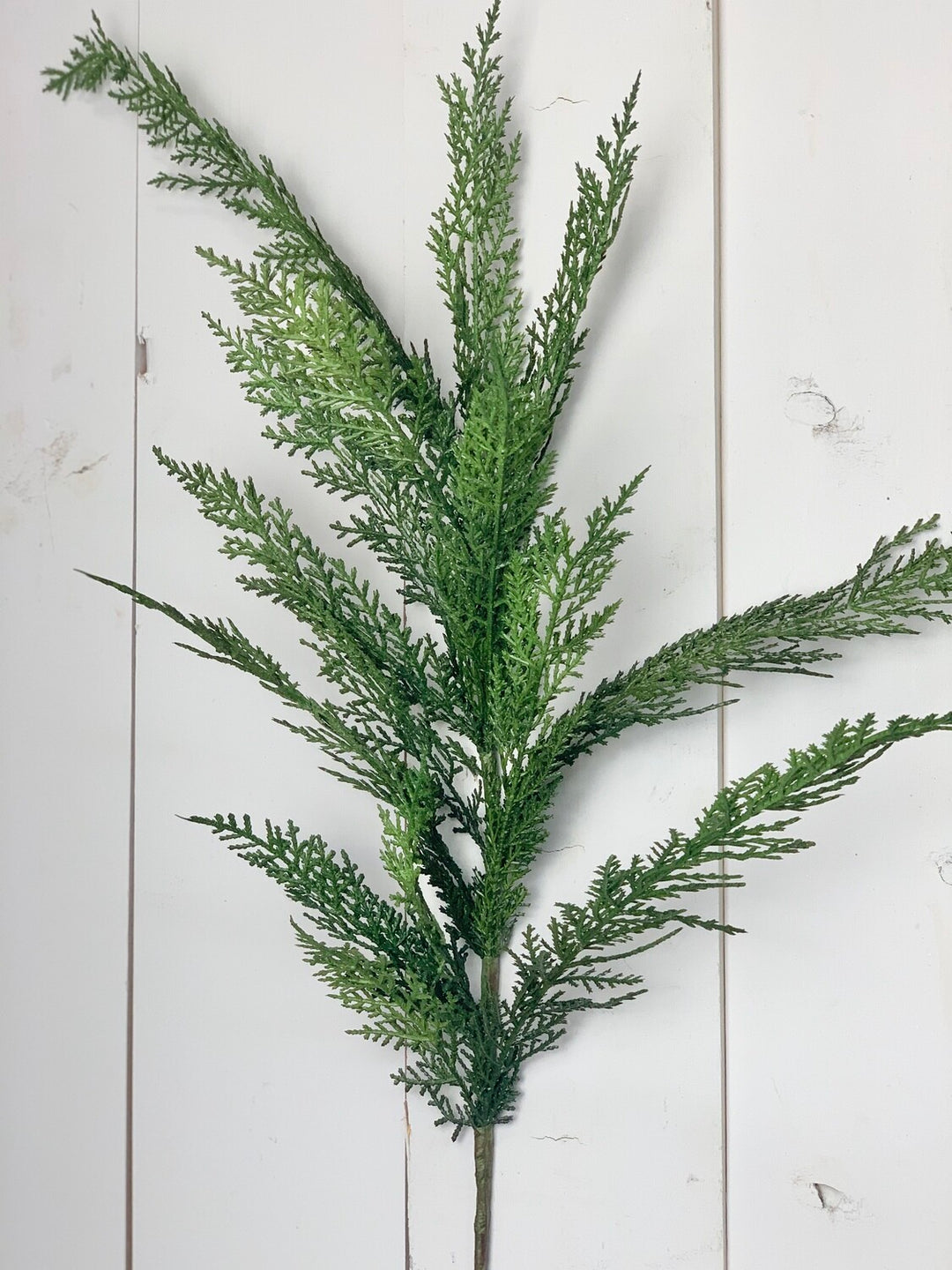 Large Cypress Spray