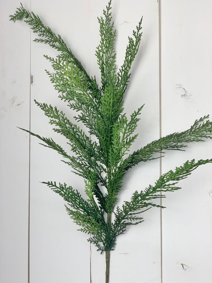 Large Cypress Spray
