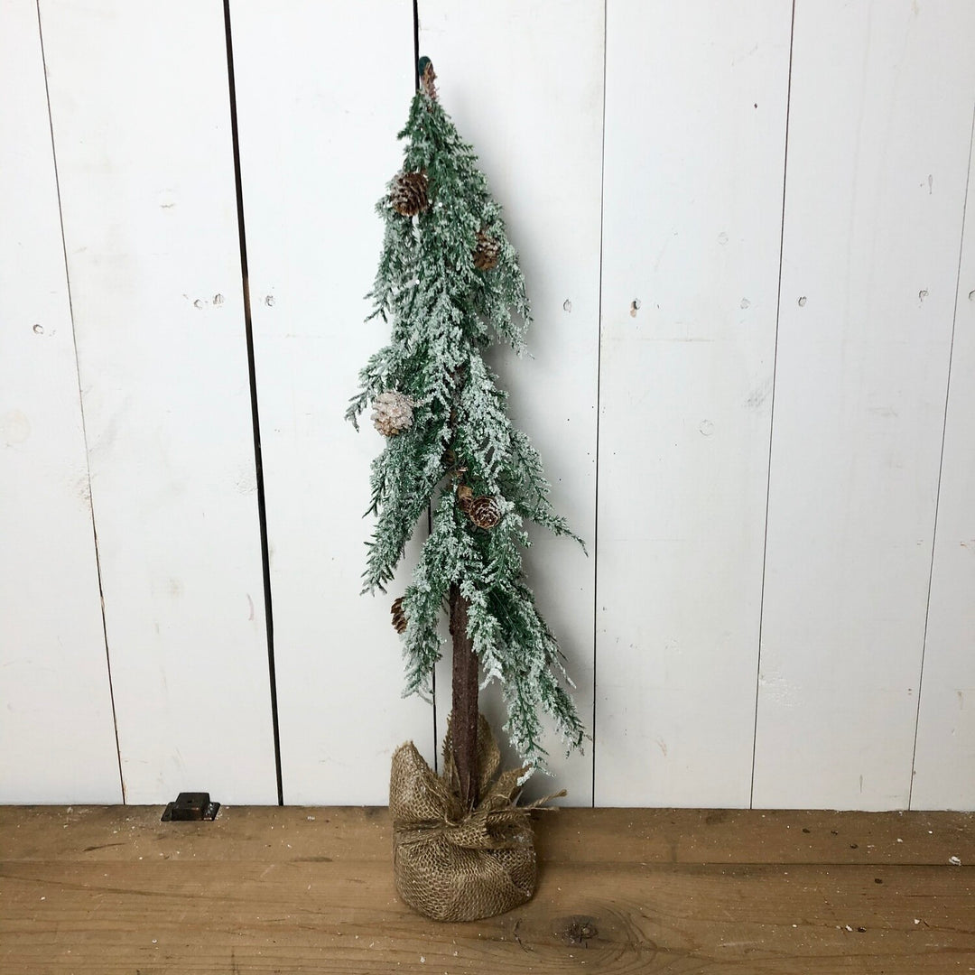 Snowy Alpine Tree