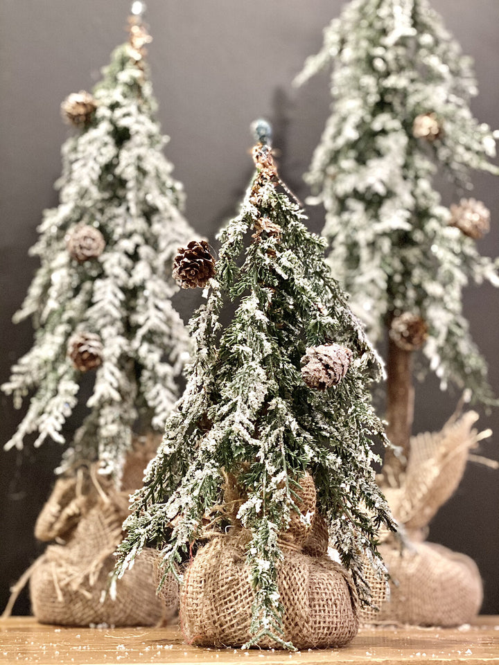 Snowy Alpine Tree