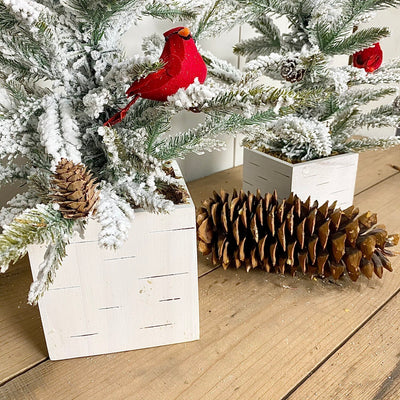 Flocked Cardinal Trees
