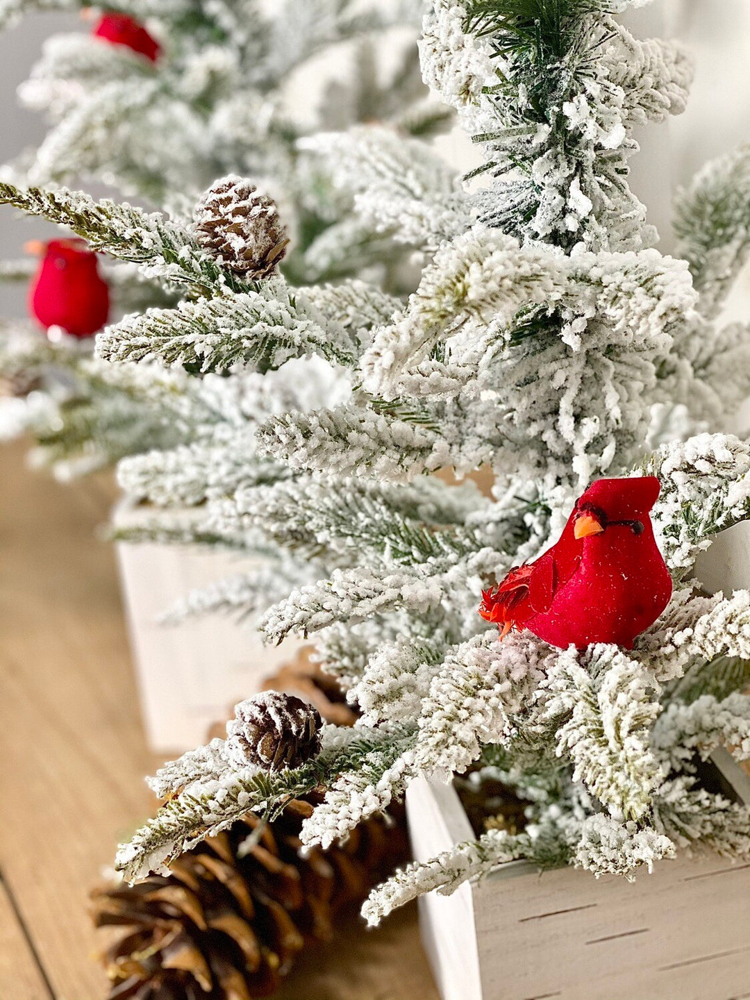 Flocked Cardinal Trees