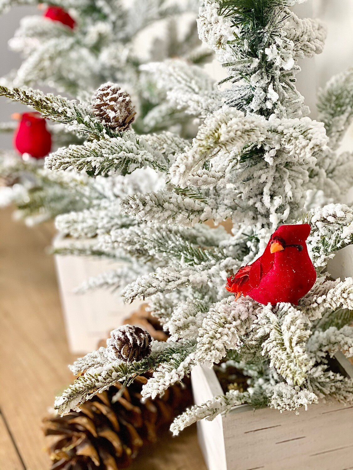 Flocked Cardinal Trees