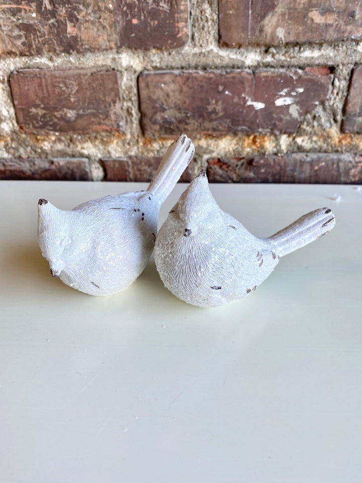 Frosted White Cardinal