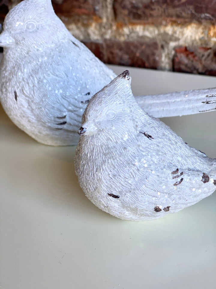 Frosted White Cardinal