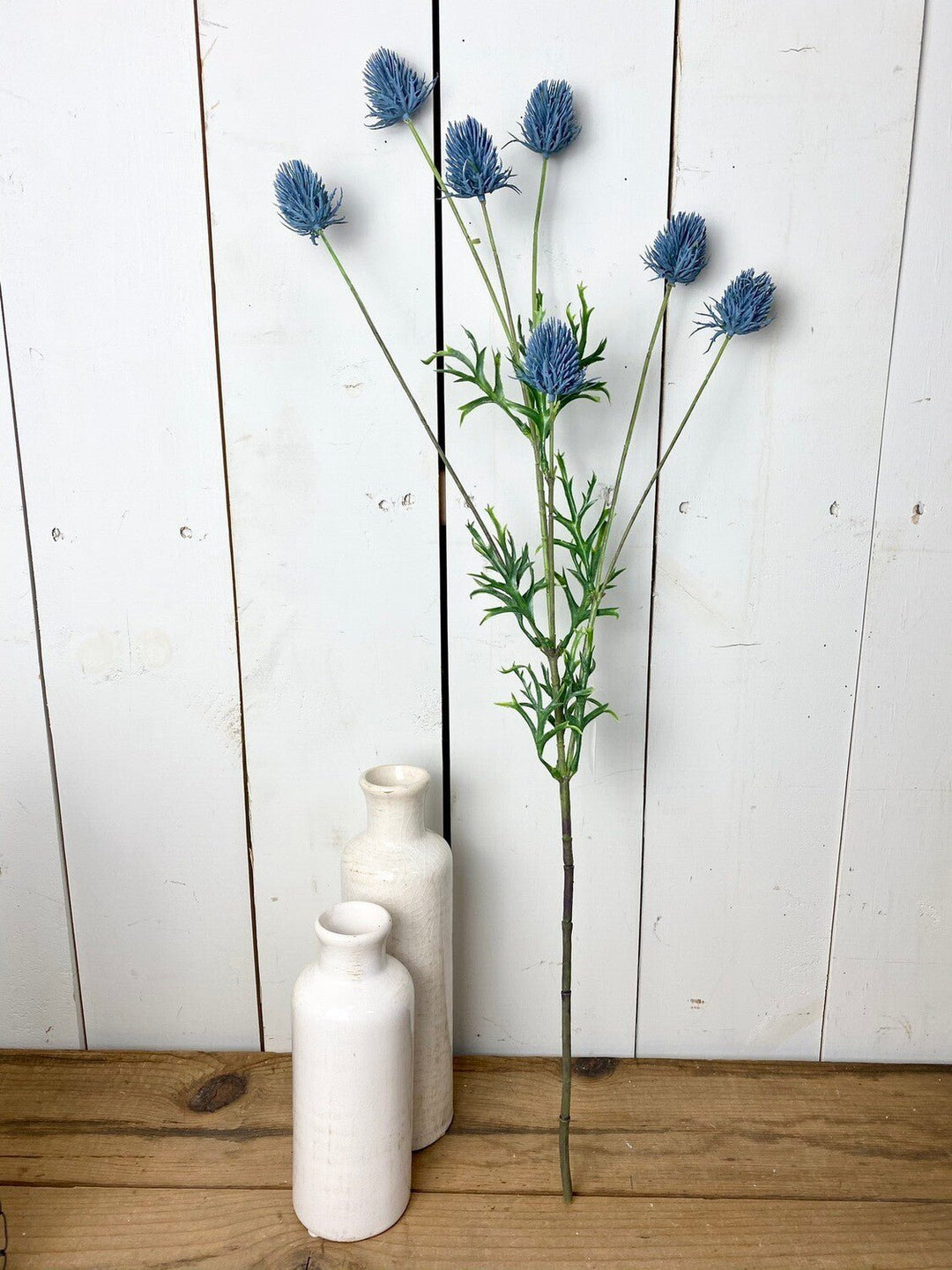 Blue Thistle Stem