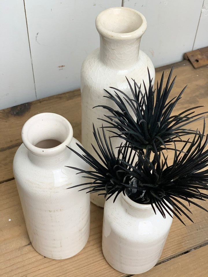 Black Succulent Spike Stem