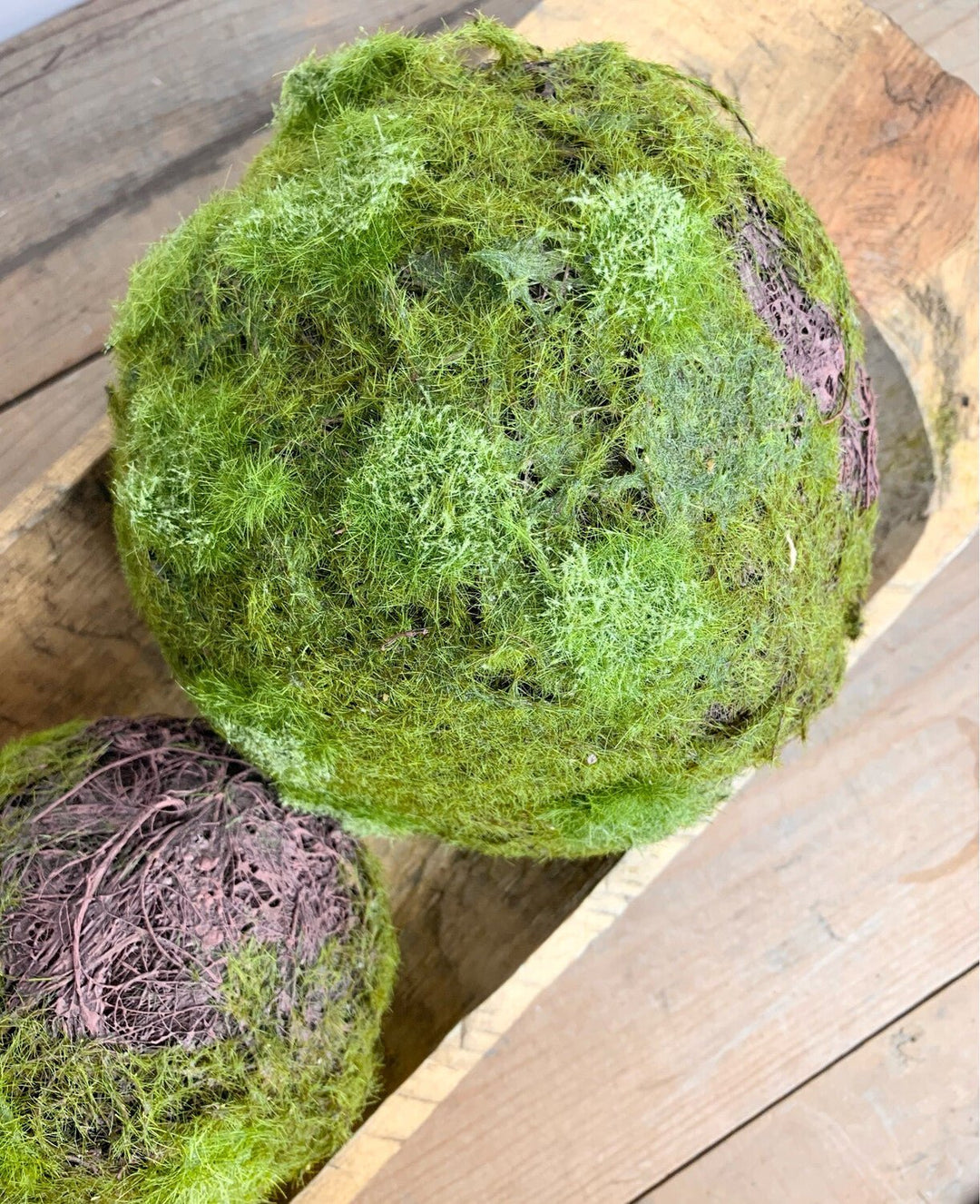 Moss Balls