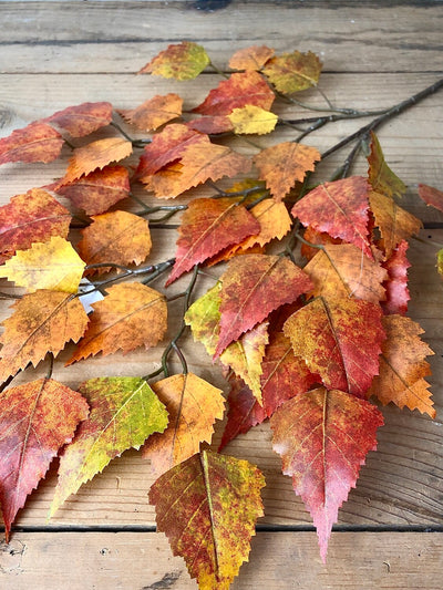 Orange and Yellow Birch Spray