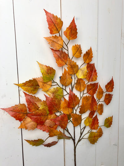 Orange and Yellow Birch Spray