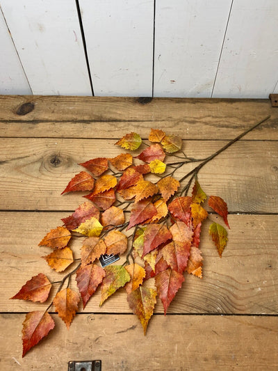 Orange and Yellow Birch Spray