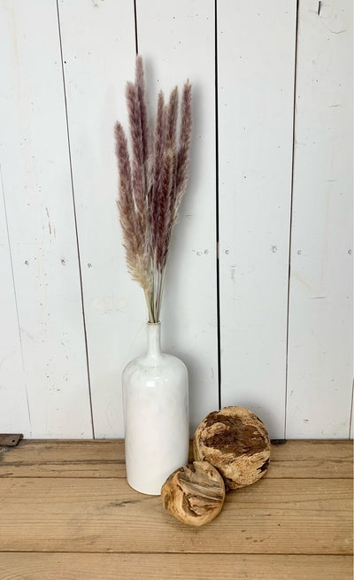 Dried Natural Pampas Grass Bundle - Purple