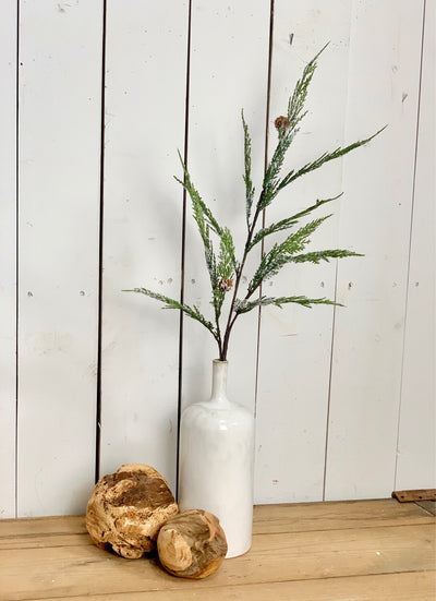 Lightly Frosted Pine Cone Stem