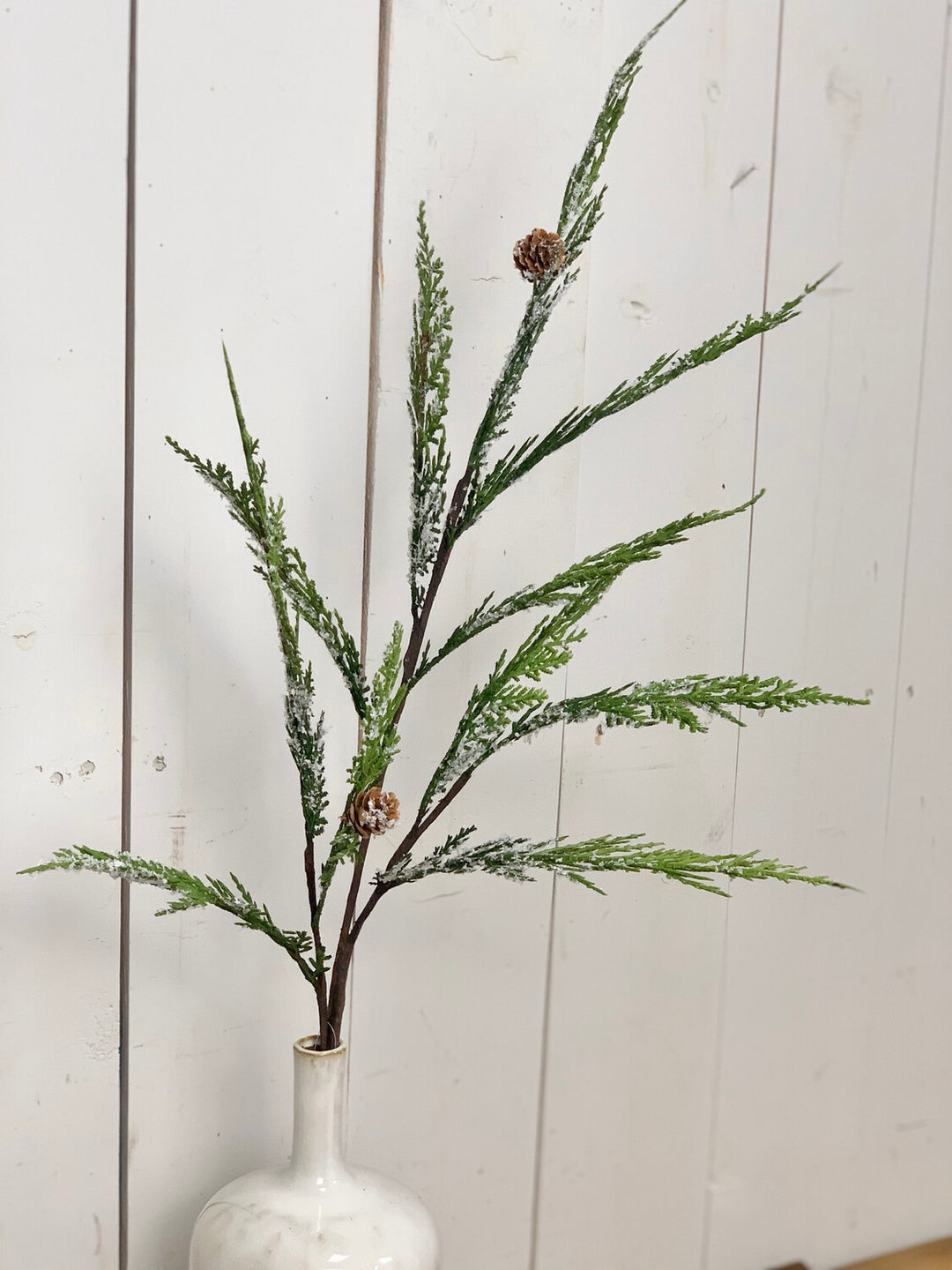 Lightly Frosted Pine Cone Stem
