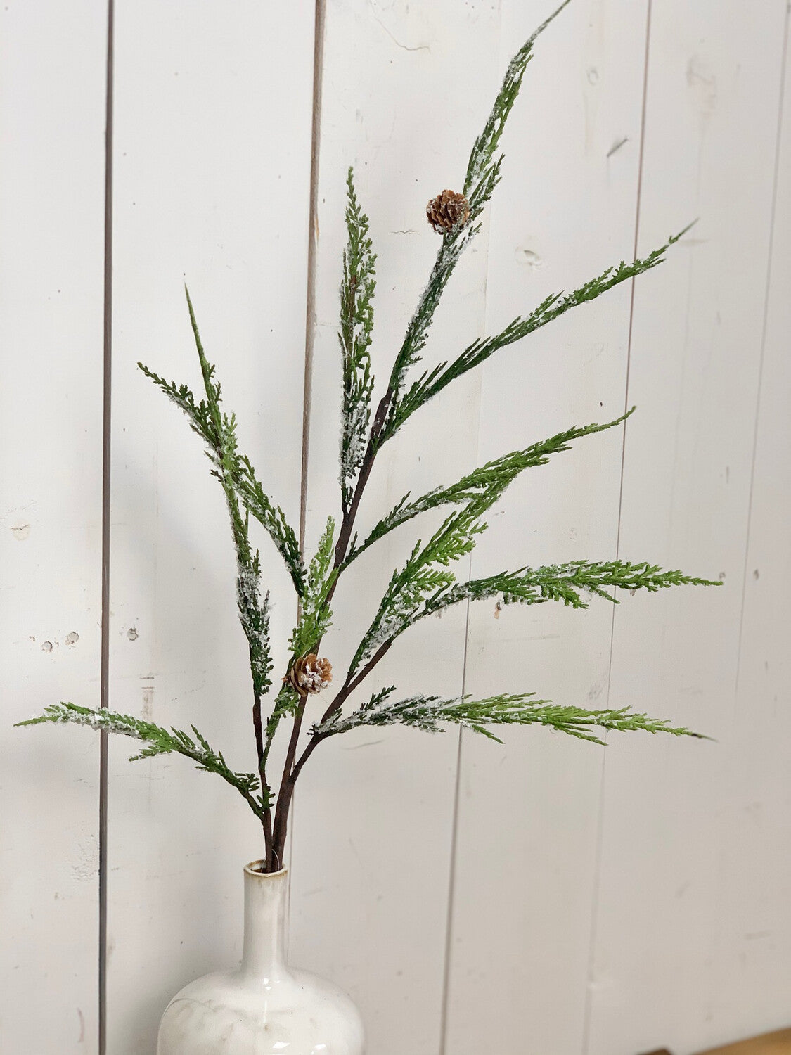 Lightly Frosted Pine Cone Stem