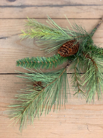 Mixed Pine Stem with Pinecone
