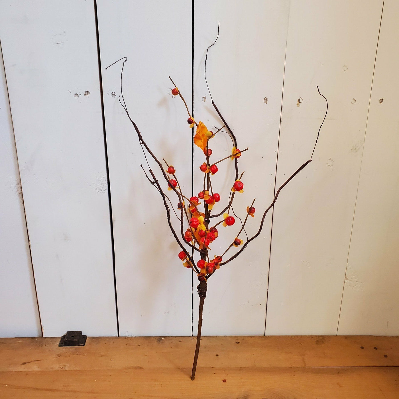 Bittersweet Stem