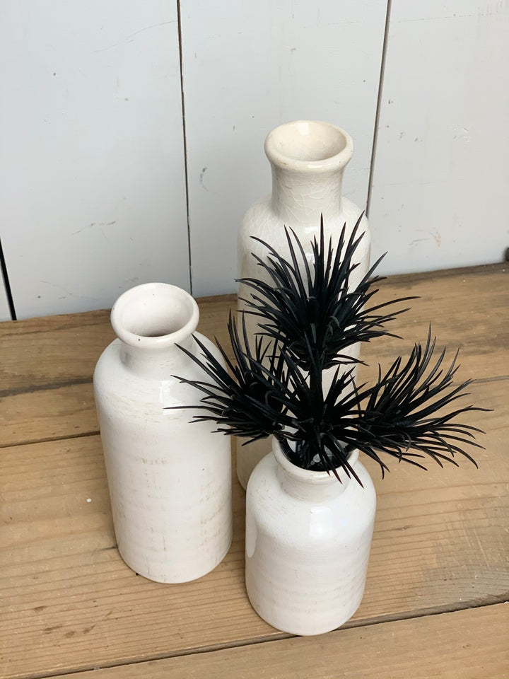 Black Succulent Spike Stem