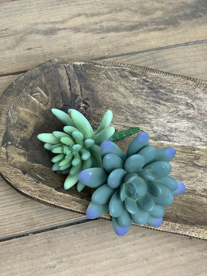 Blue Echeveria Succulent Stems