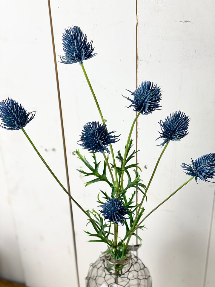 Blue Thistle Stem