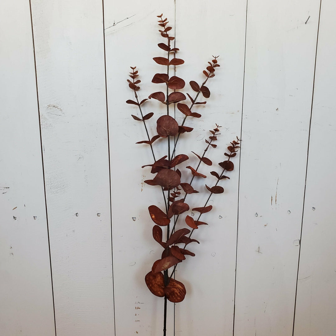 Burgundy/Brown Eucalyptus Spray