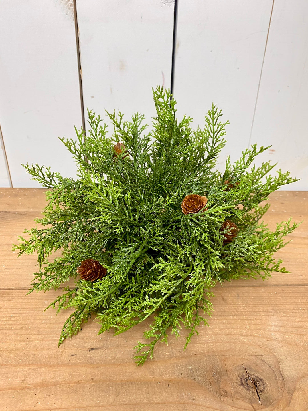 Cedar Orb