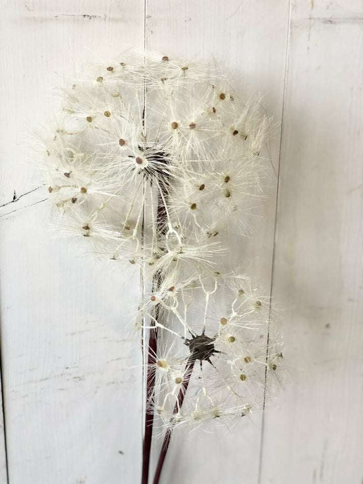 Dandelion Stem-Jumbo