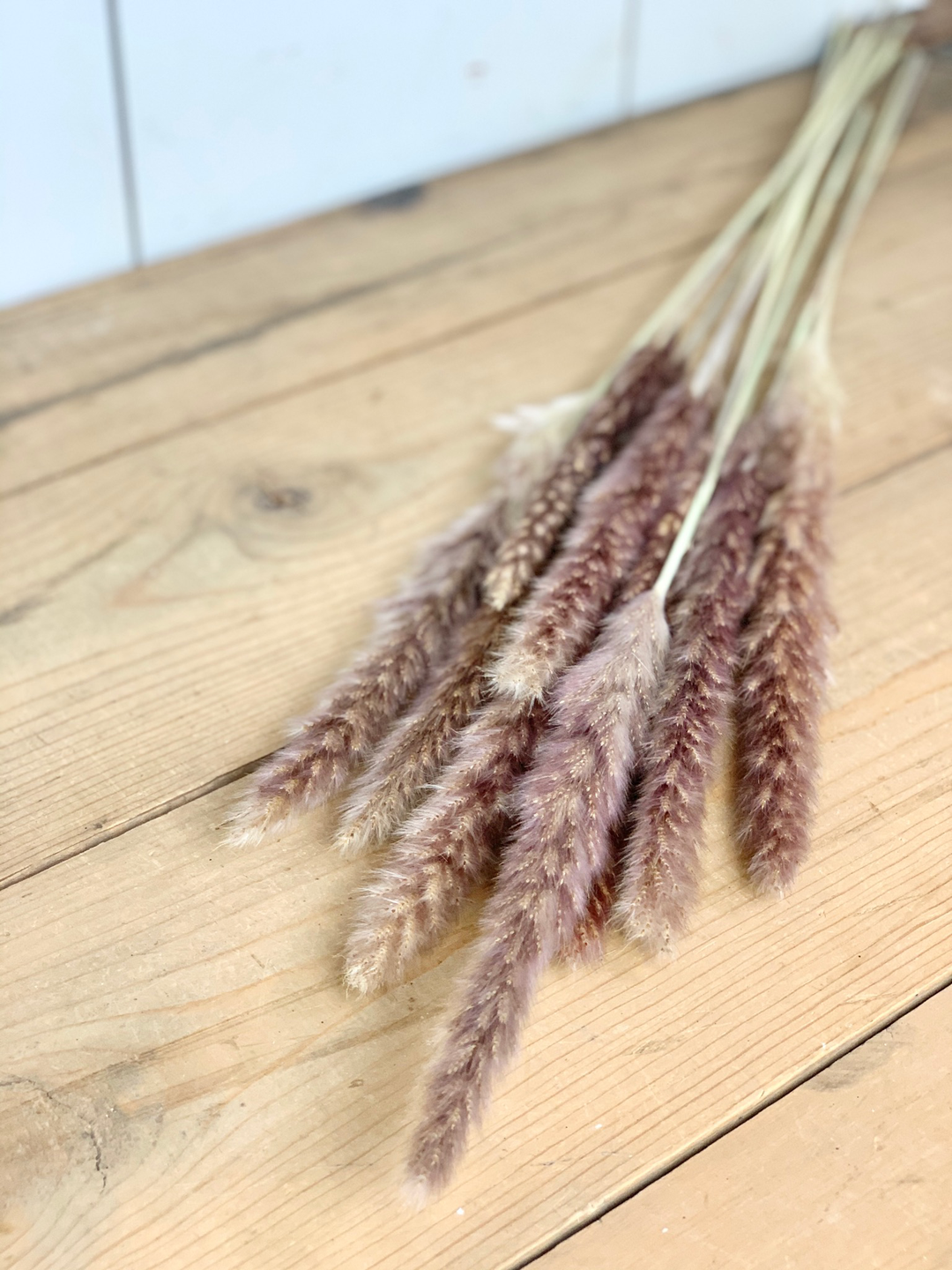 Dried Natural Pampas Grass Bundle - Purple