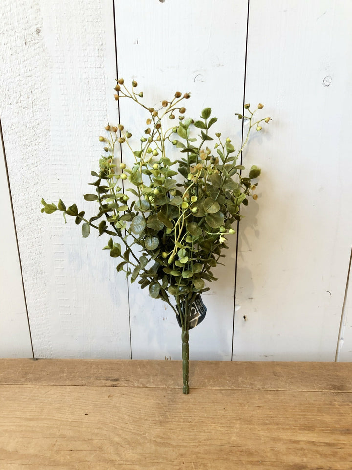 Eucalyptus Stem