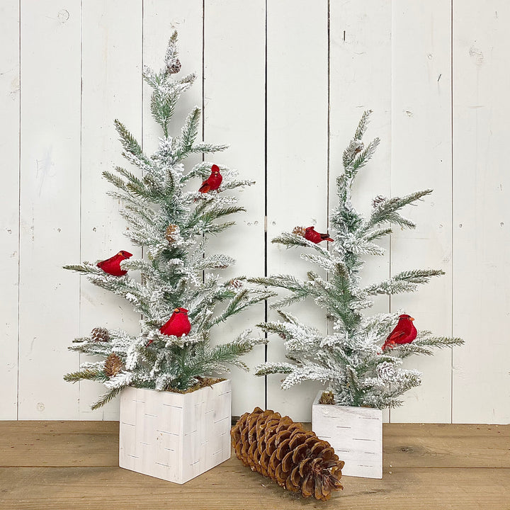 Flocked Cardinal Trees