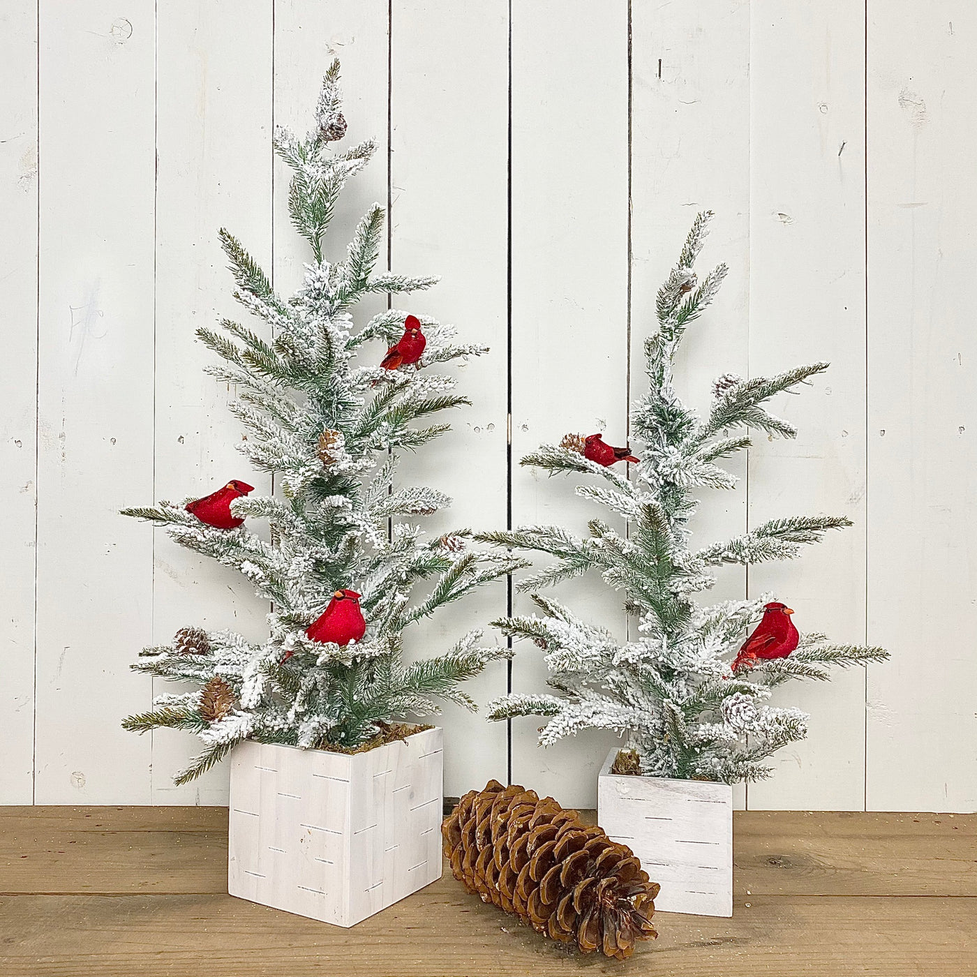 Flocked Cardinal Trees