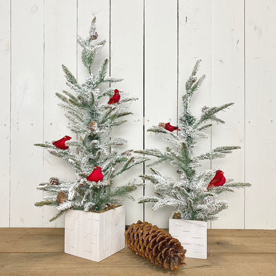Flocked Cardinal Trees