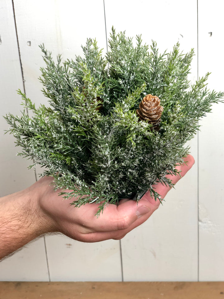 Frosted Arborvitae Orb