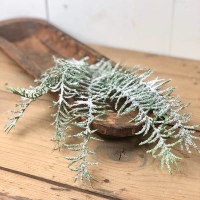 Frosted Pine Spray