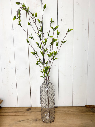 Green Leaf Foliage Stem