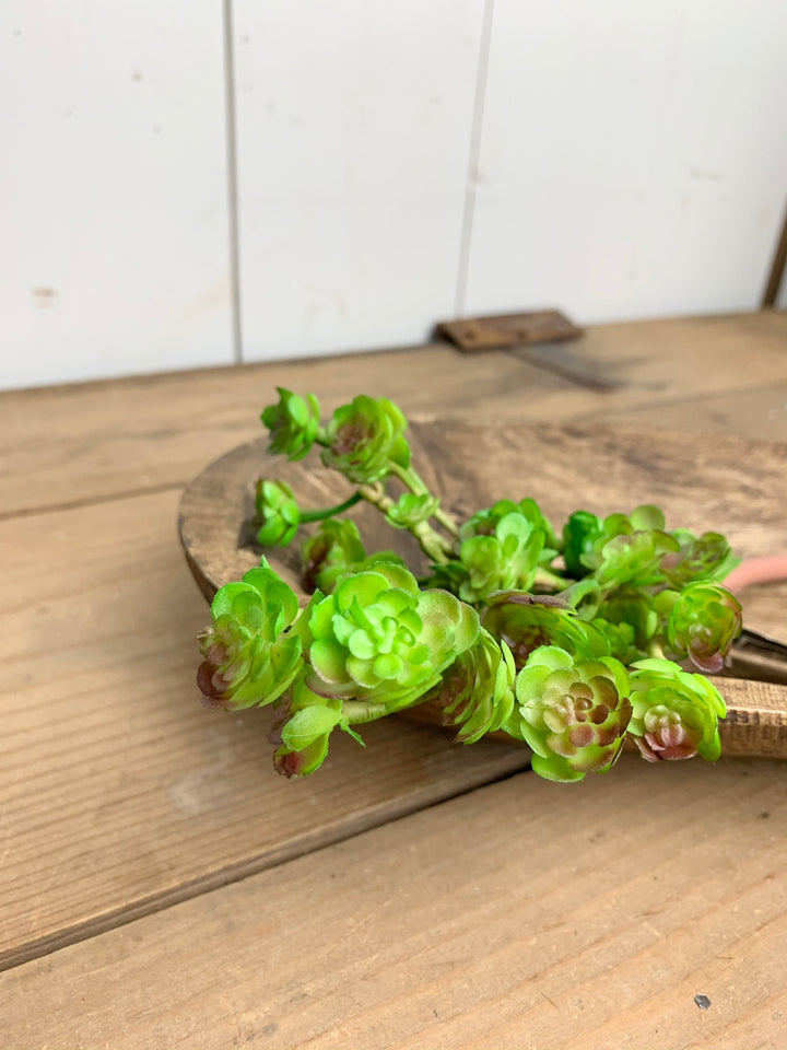 Green Rose Succulent Stem