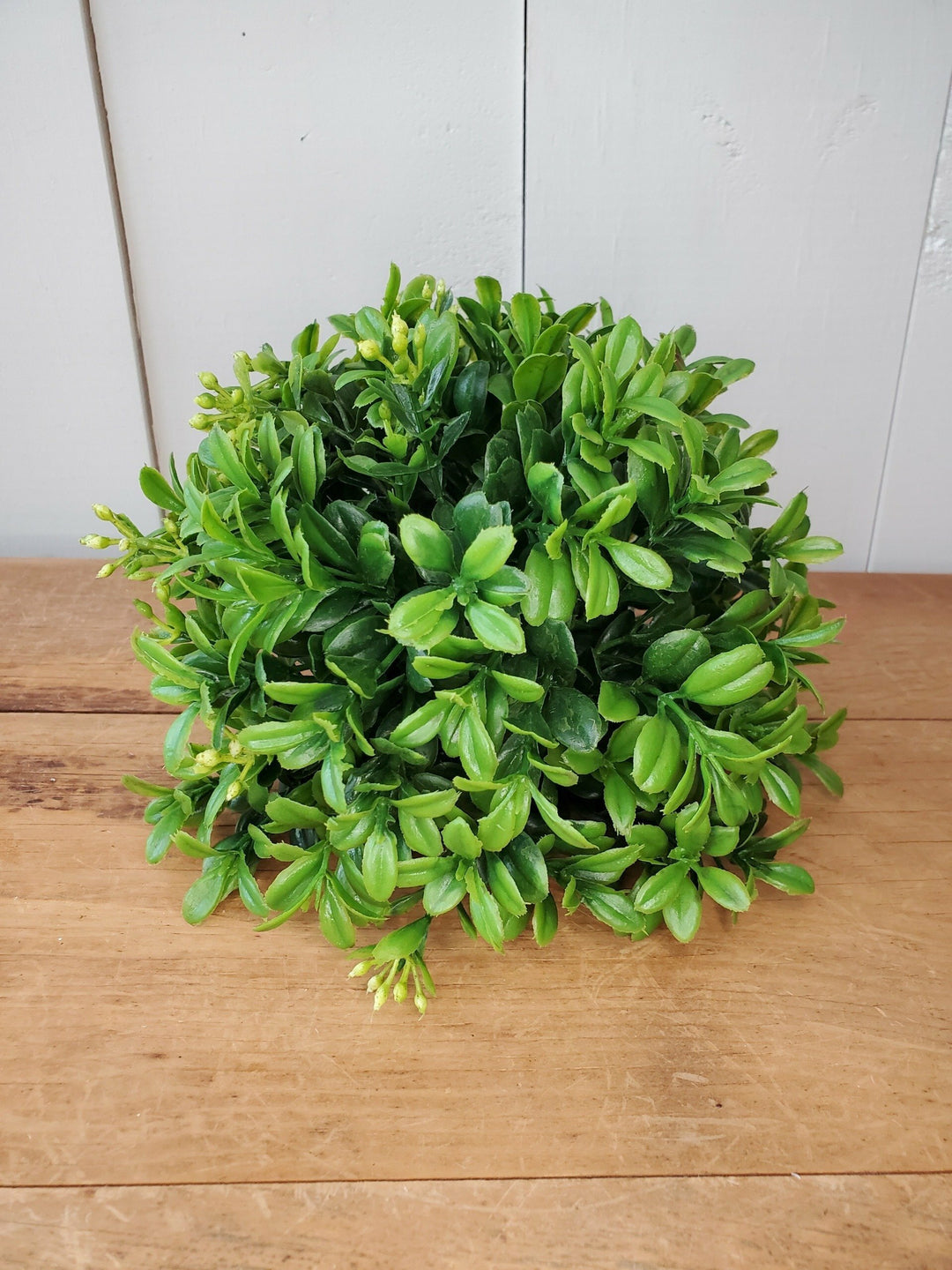 Half Orb - Boxwood