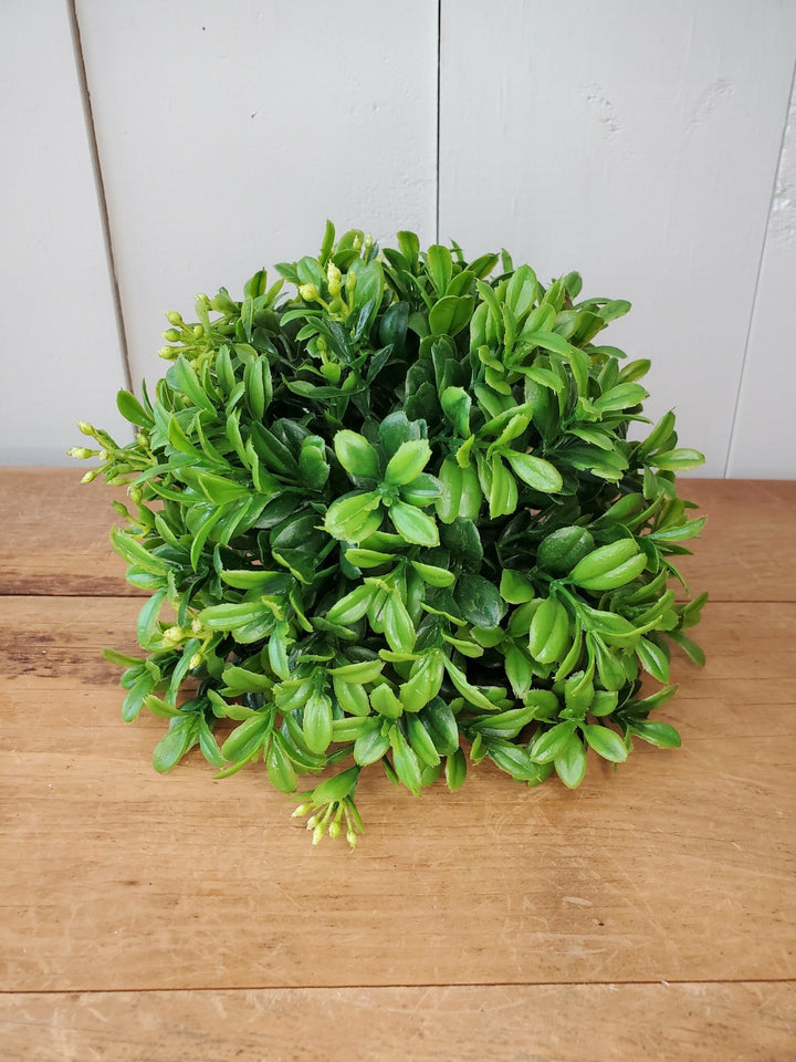 Half Orb - Boxwood