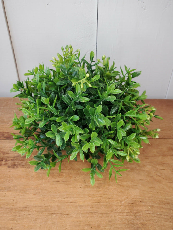 Half Orb - Mini Boxwood