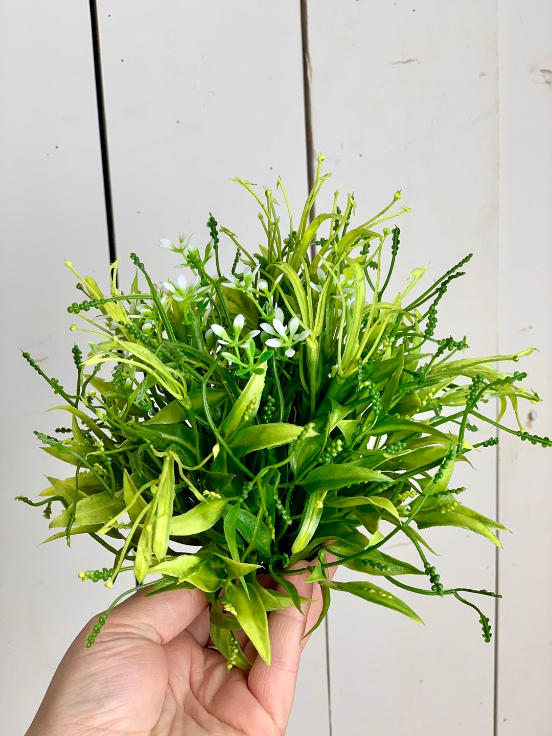 Half Orb - Smilax