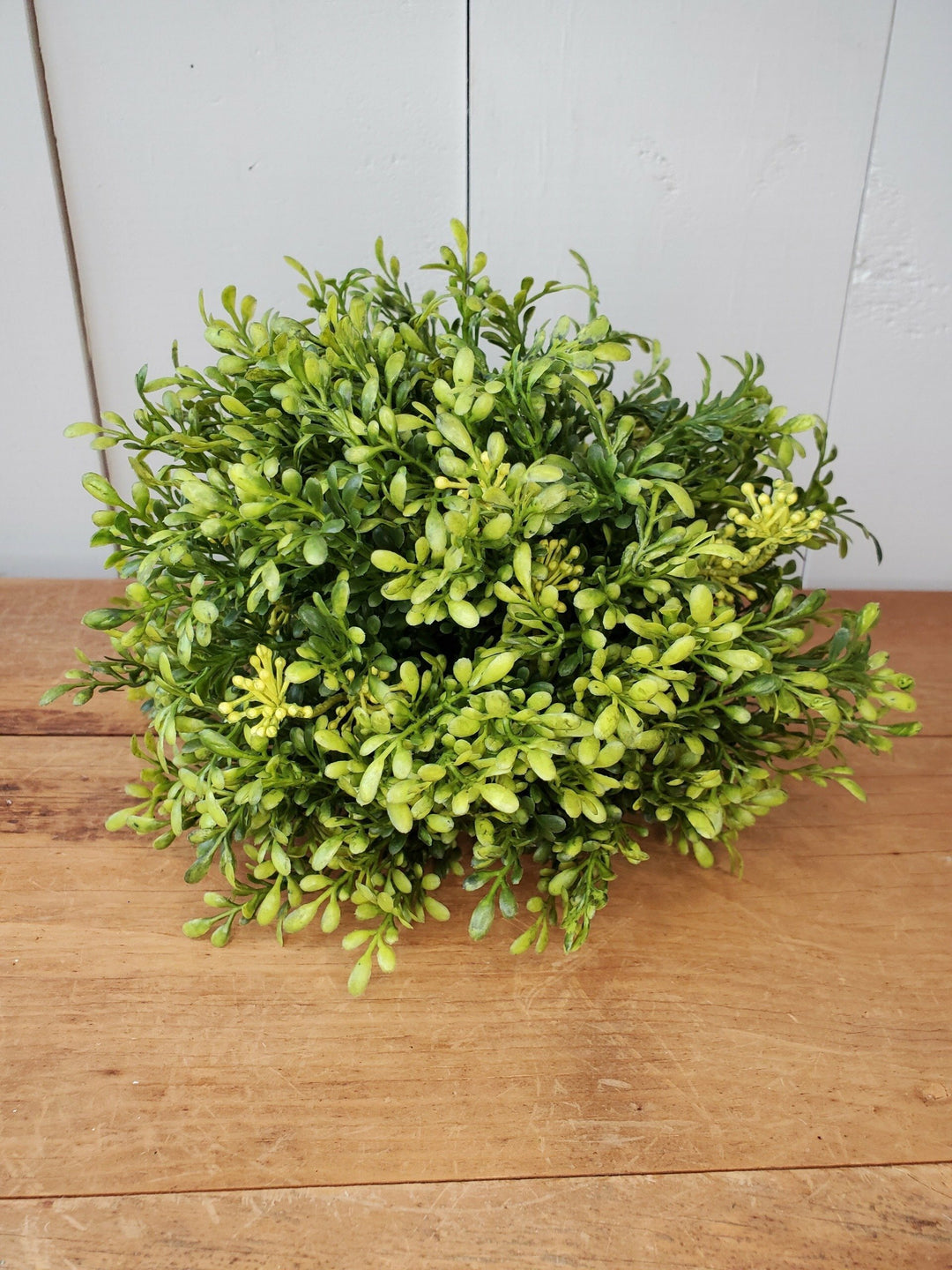 Half Orb - Tea Leaf
