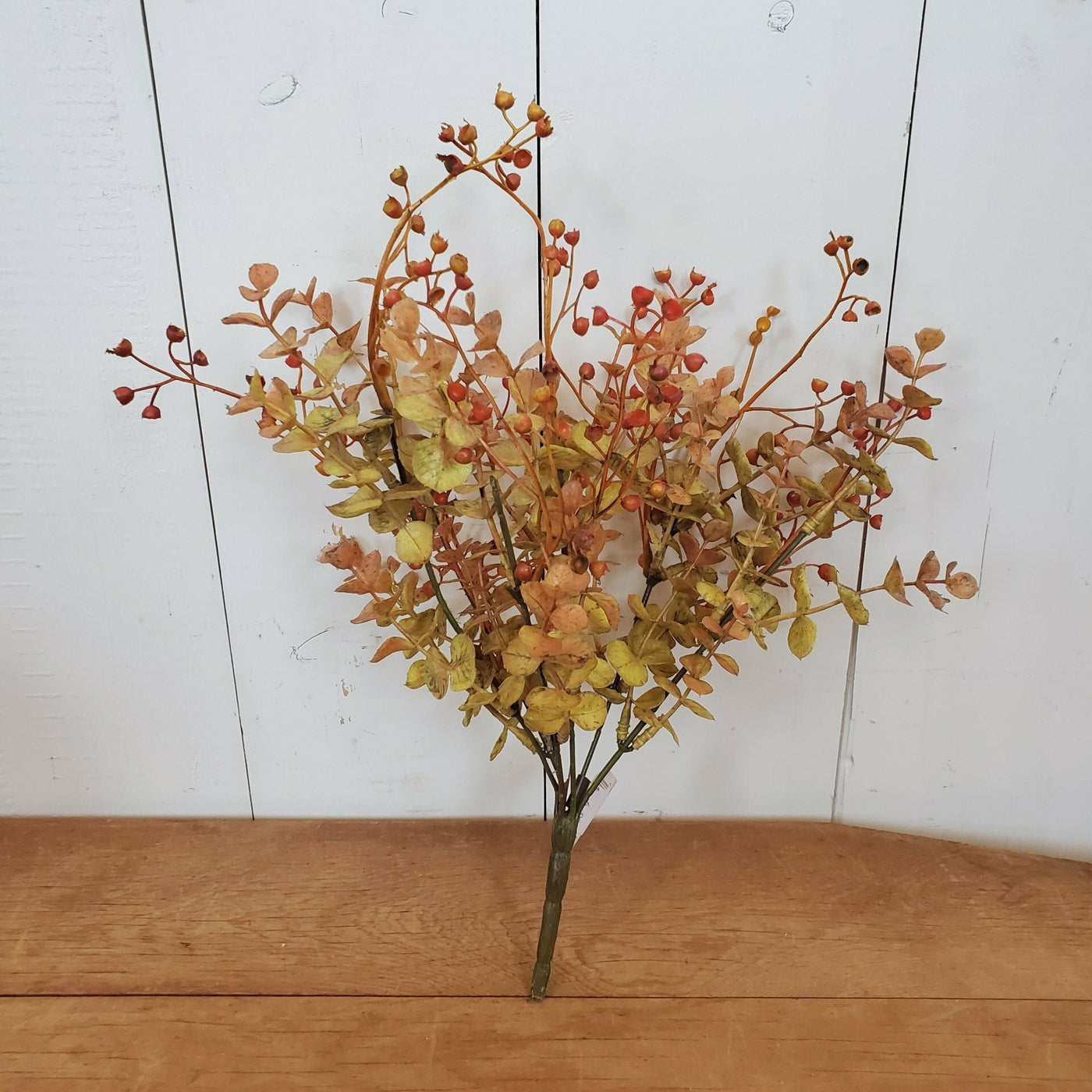 Harvest Eucalyptus Stem